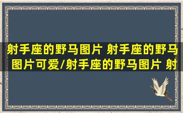 射手座的野马图片 射手座的野马图片可爱/射手座的野马图片 射手座的野马图片可爱-我的网站